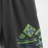 Dětské 5″ šortky Graphic Easy Sweat